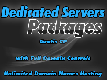 Cheap dedicated server hosting package